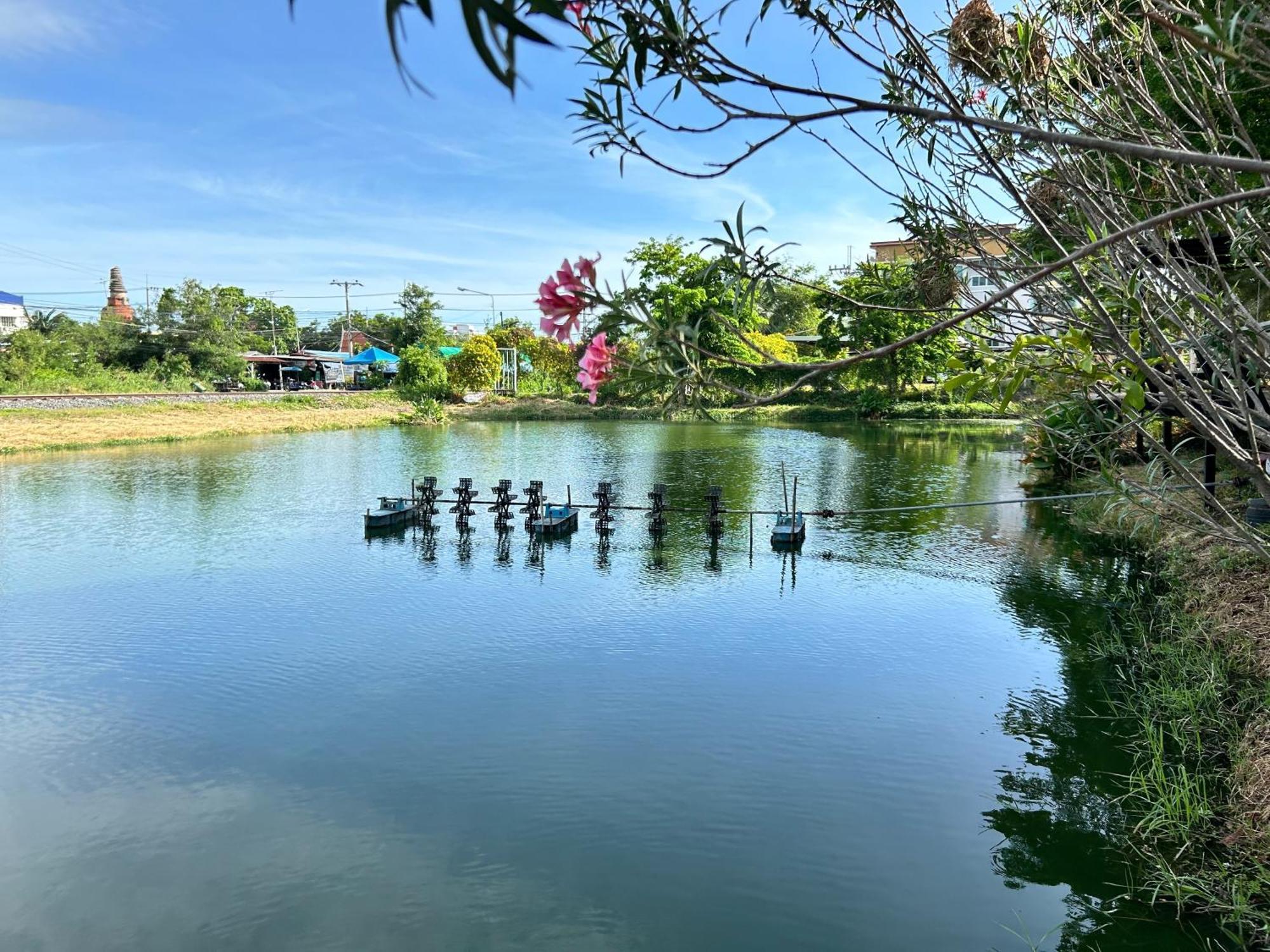 Dd Boutique Resort Ban Wat Pa 外观 照片